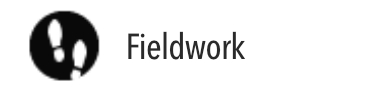 Fieldwork