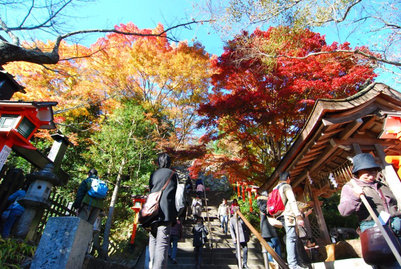 Fall Colors in Kyoto
