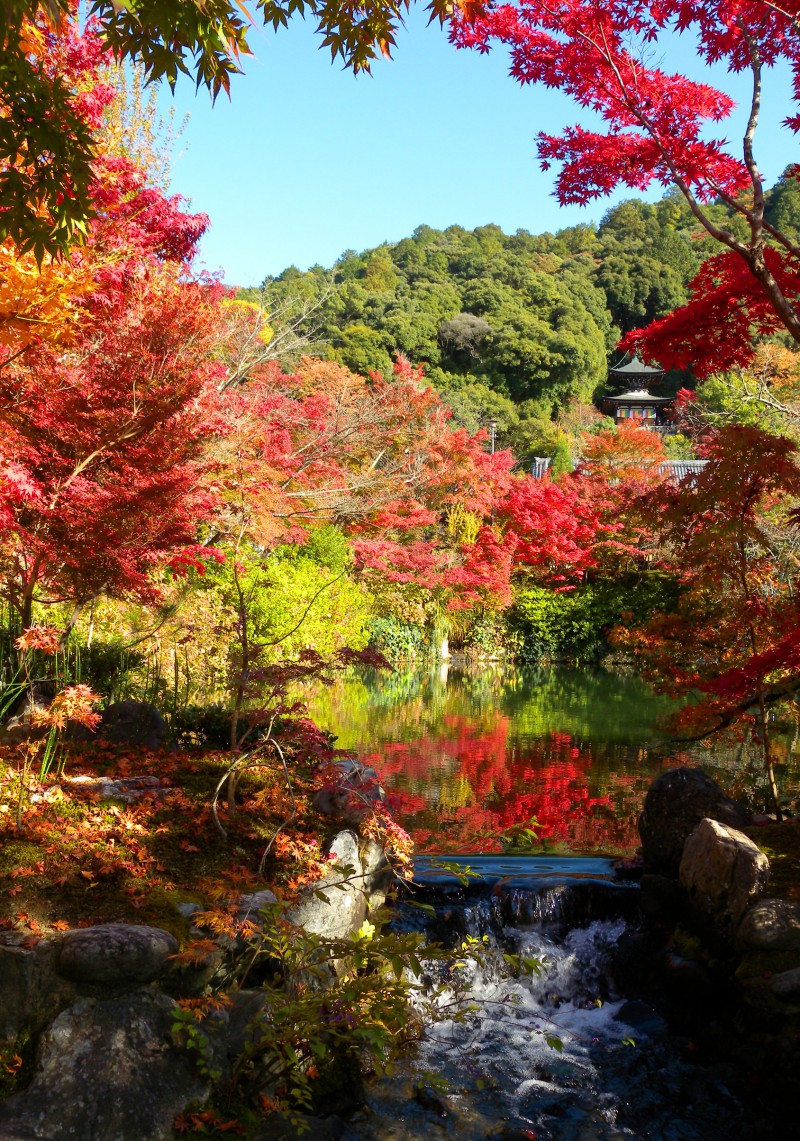Garden at Eikando Shrine in Kyoto