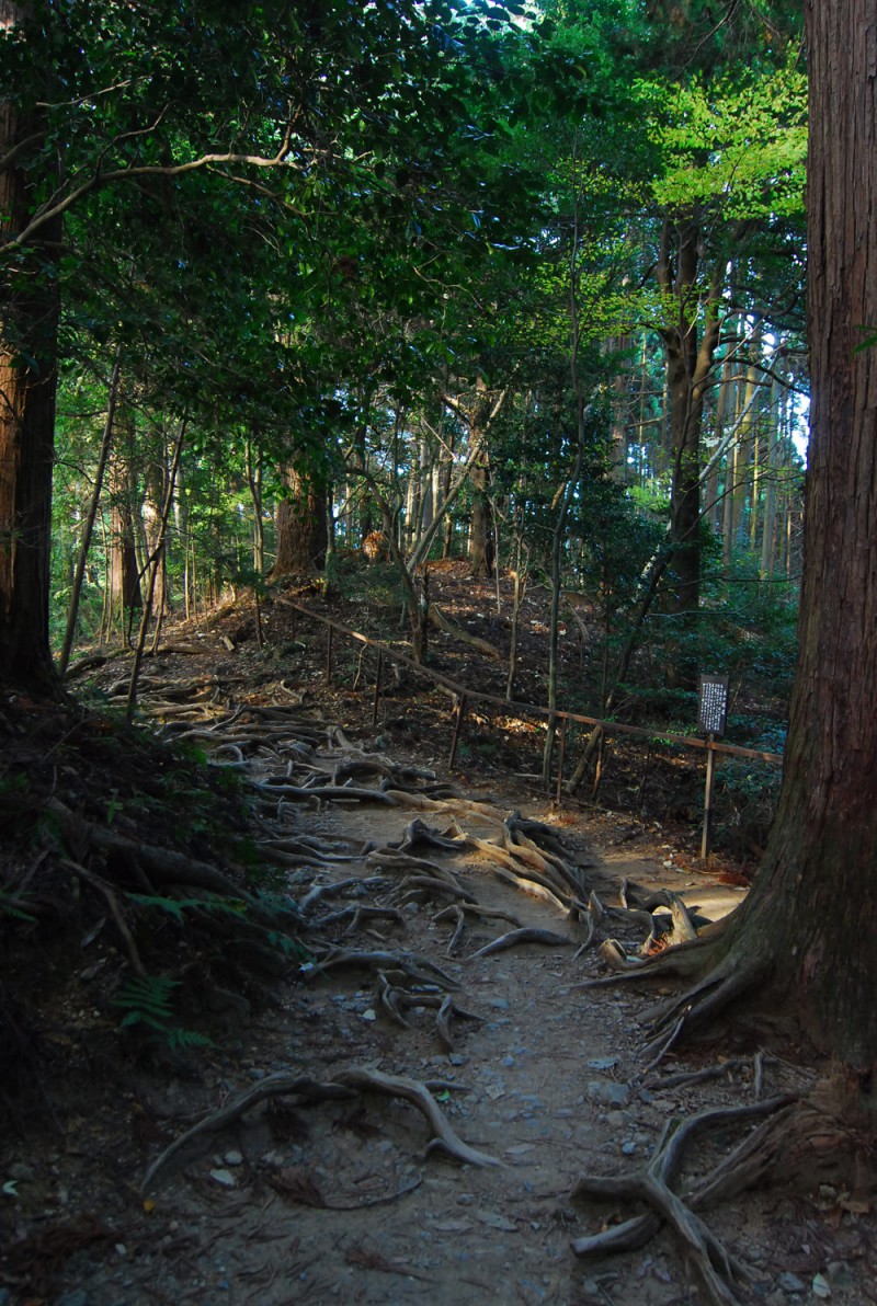 Hillside in Kyoto