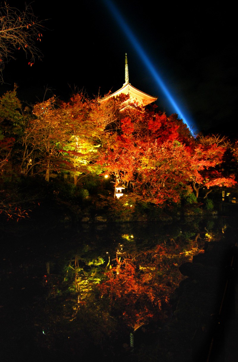 Light up of fall colors at Kiyomizu Temple, Kyoto