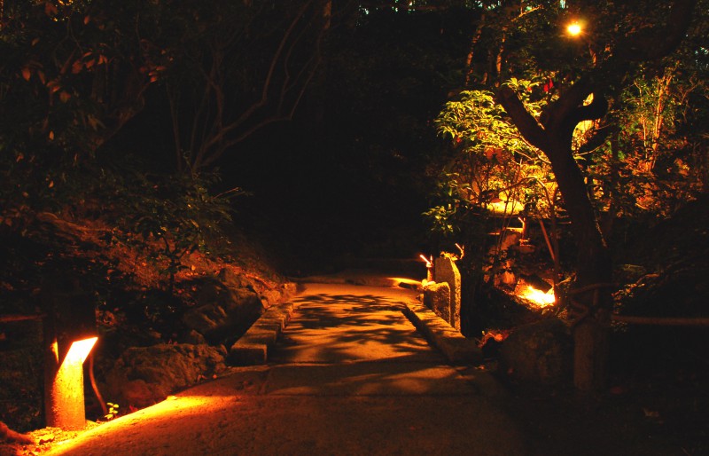 Lighting installations at Shorenin Temple, Kyoto