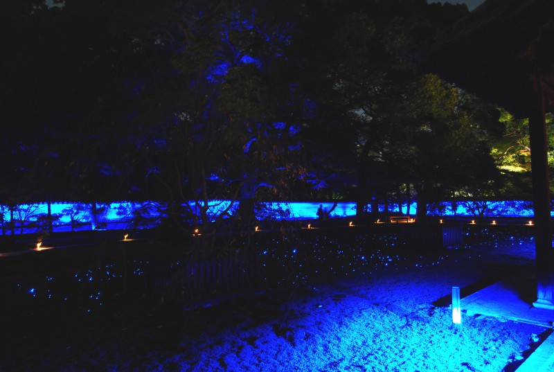 Lighting installations at Shorenin Temple, Kyoto