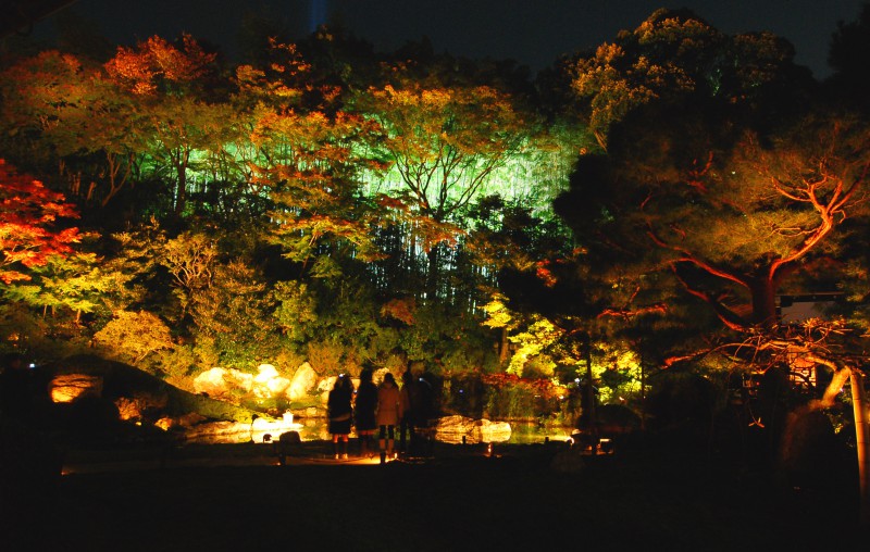 Lighting installations at Shorenin Temple, Kyoto
