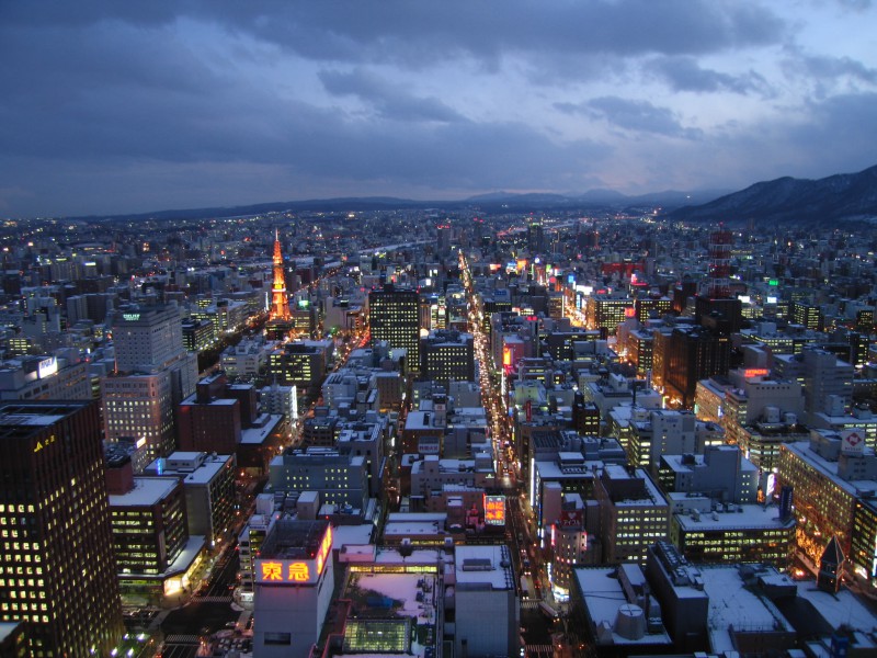 View of Sapporo from the JR Tower