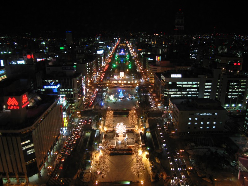 View of Sapporo from the TV Tower