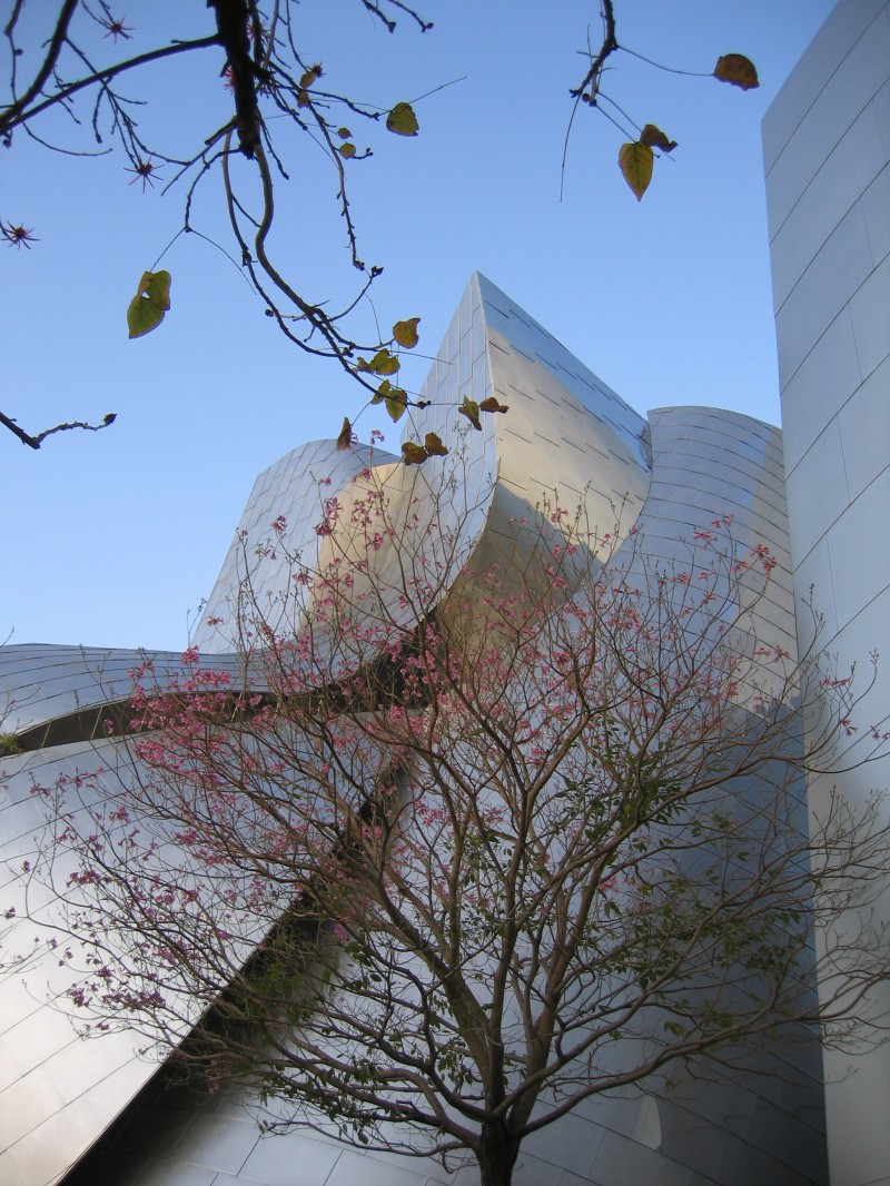 Walt Disney Concert Hall Los Angeles