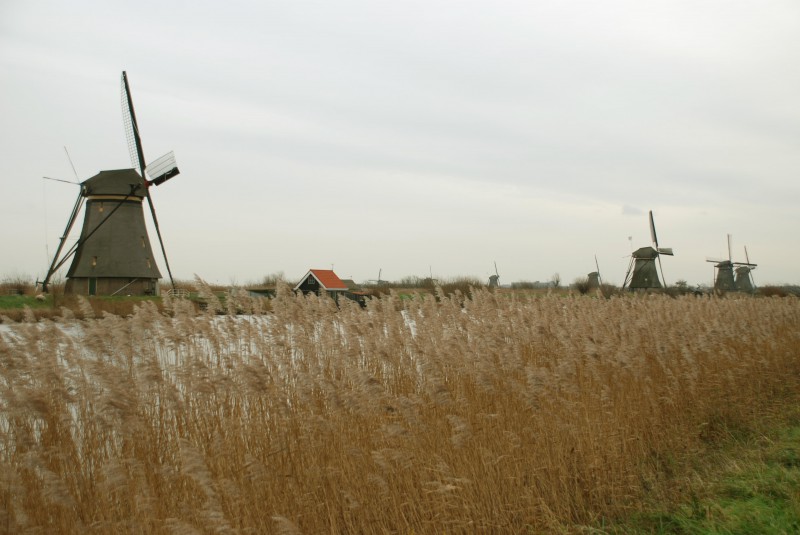 Windmills of Kinderdijk