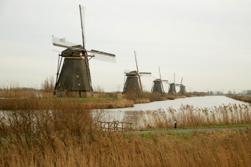 Windmills of Kinderdijk