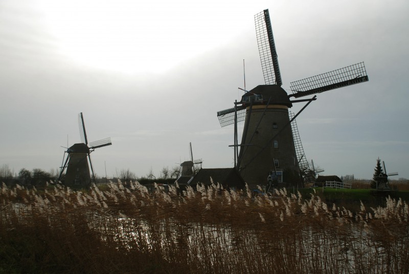 Windmills of Kinderdijk