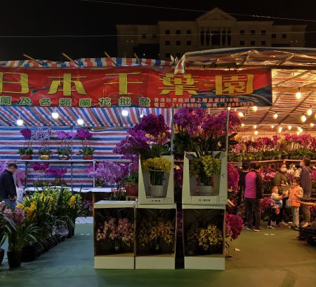 Flower Market at Victoria Park, Hong Kong